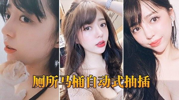 厕所马 桶自动式抽插