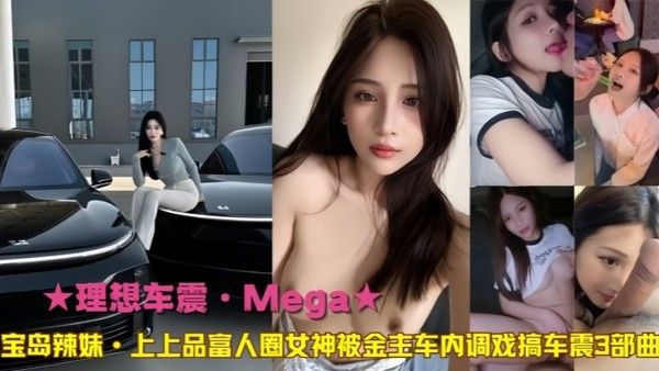 理想车震Mega宝岛辣 妹上上品富人圈女神被金主车内调戏搞车震3部曲