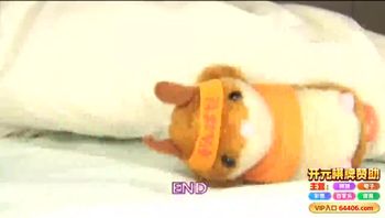 [中文](STAR PARADISE)女主播秀色可餐 麻仓忧