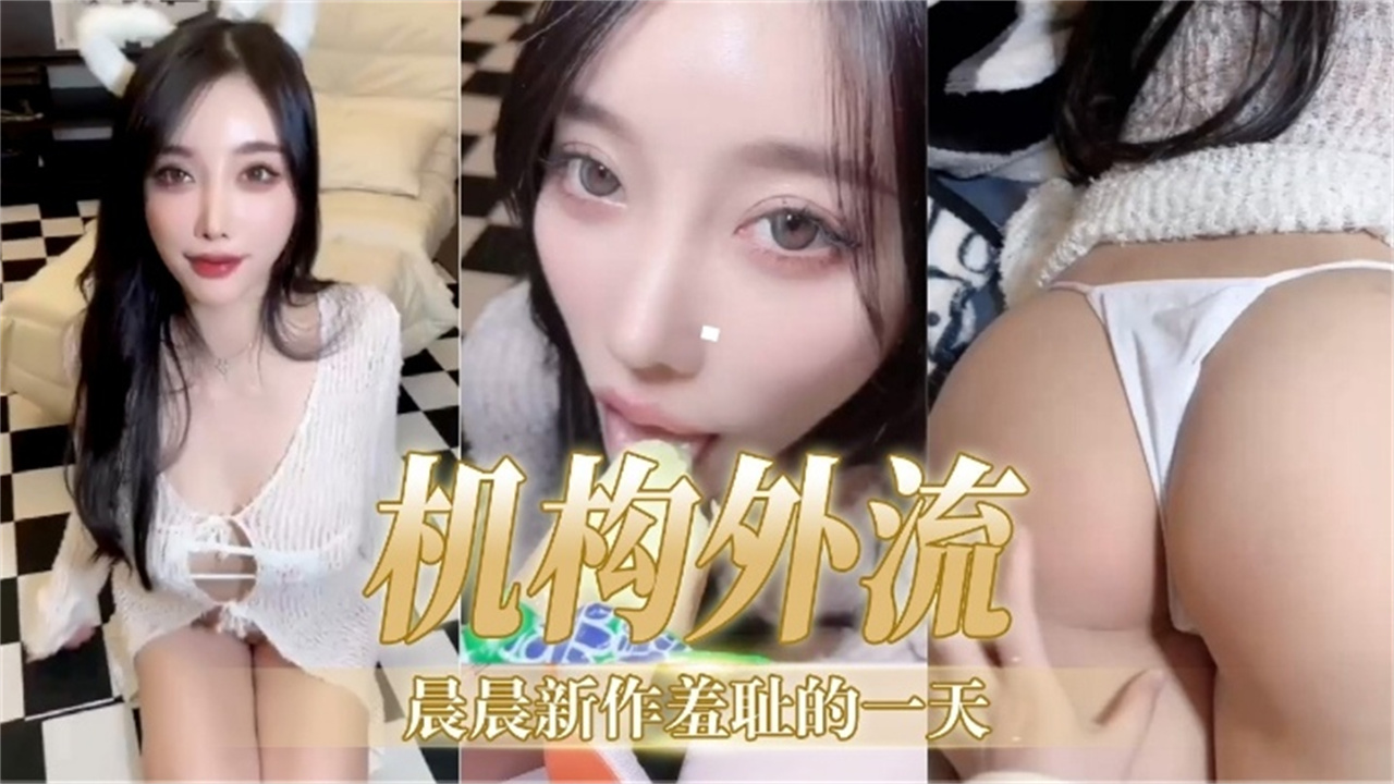 机构外流 晨晨新作羞耻的一天