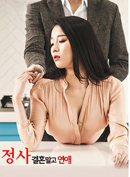 情事：只恋爱不结婚  2013