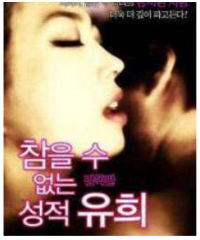 无法忍受性游戏      2012