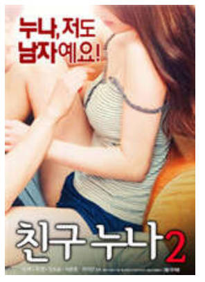 我朋友的老姐2    2017