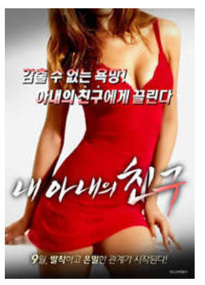 我老婆的朋友.    2015